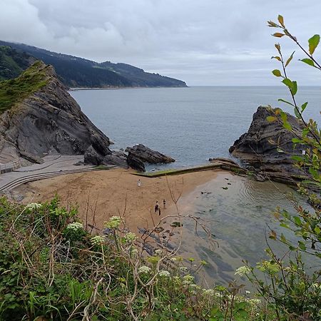 Bermeo Y Urdaibai - Parking-Ascensor - Wifi - Tranquilo公寓 外观 照片